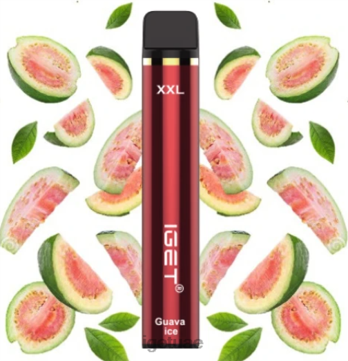 IGET vape abu dhabi- IGET LP0F8456 ايجيت فيب دبي حجم XXL - 1800 سحبة جليد الجوافة