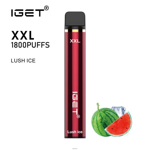 IGET dubai- IGET LP0F860 إيجيت دبي XXL الجليد الخصب