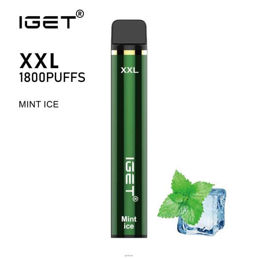 IGET vapes- IGET LP0F863 نكهات iget vape xxl جليد النعناع