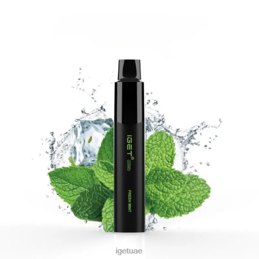 IGET vape uae- IGET LP0F8326 إيجيت دبي ليجند 4000 نفث نعناع طازج