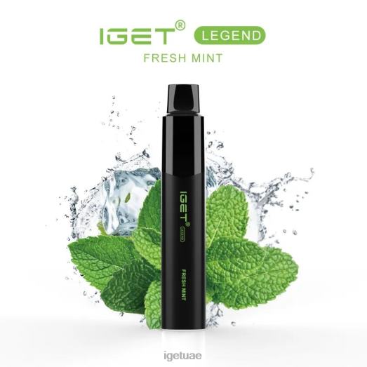 IGET dubai- IGET LP0F8565 ايجيت فيب يو ايه ليجند - 4000 نفسة ثلج نعناع طازج