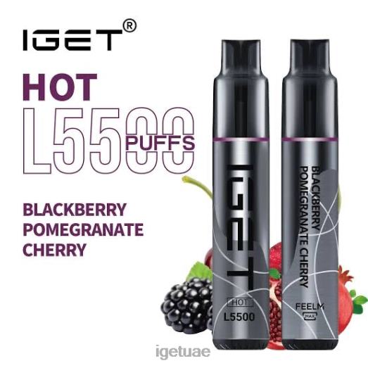 IGET vapes- IGET LP0F8466 ايجيت فيب ساخن - 5500 نفسة بلاك بيري