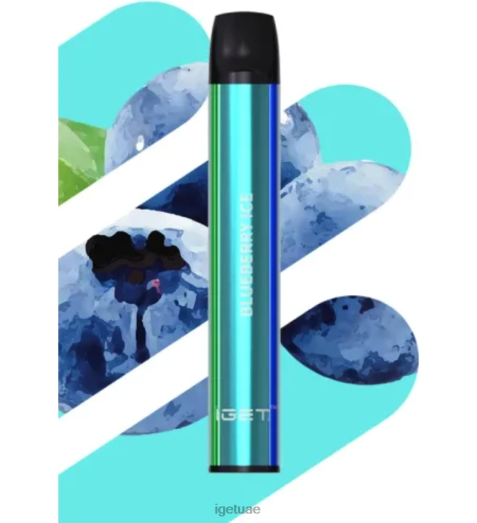 IGET vape uae- IGET LP0F8543 ايجيت فيب شيون - 600 نفث جليد التوت
